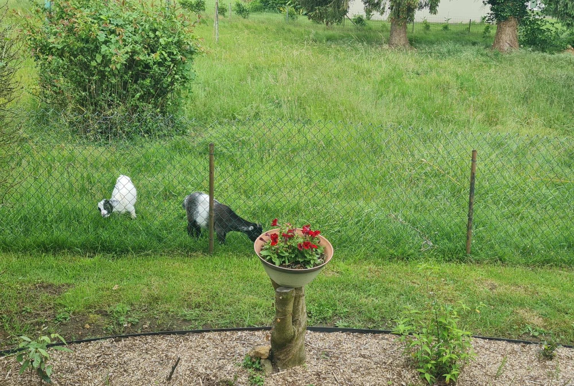 Maison Campagne Detente